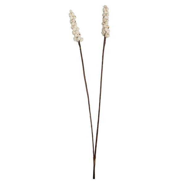 24" Brown Star Bamboo Reed Bundle (14 Pack)