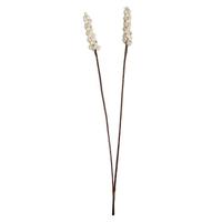 Vickerman 24" Brown Star Bamboo Reed Bundle (14 Pack)