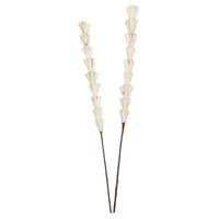 Vickerman 24" Natural Sola Rajani Stick (24 Pack)