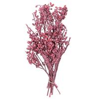 Vickerman 4" Peony Sola Flower on 12" Stem (12 pack)