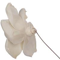 Vickerman 4" Jonquil Sola Flower 12" Stem (12 pack)