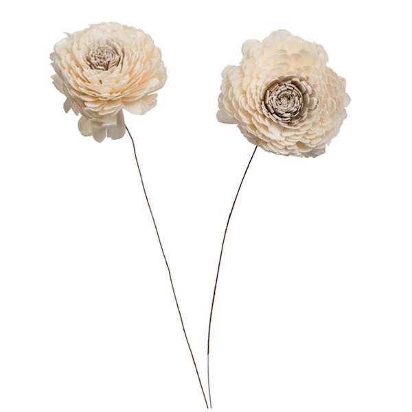 4" Charki Sola Flower 12" Stem (12 pack)