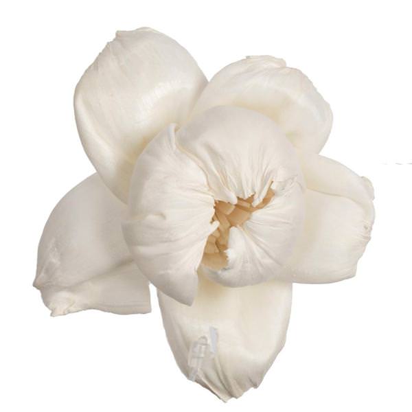 1-3" Assorted Rosette Sola Head (24 pack)