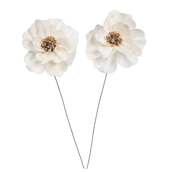 4" Anemone Sola Flower 12" Stem (12 pack)