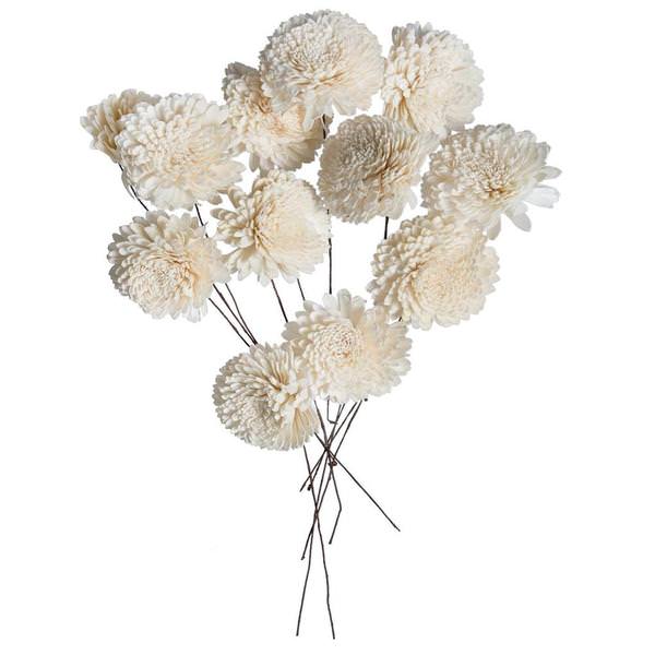 4" Zinnia Sola Flower on 12" Stem (12 pack)