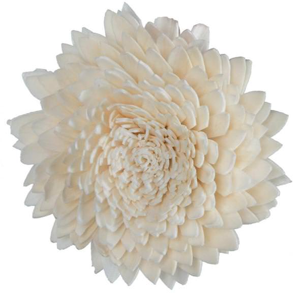 1-3" Assorted Peony Sola Head (24 pack)