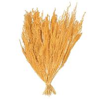 Vickerman 14"-18" Yellow Stoebe Bundle