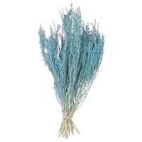 Vickerman 14"-18" Baby Blue Stoebe Bundle