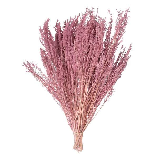 14"-18" Coral Stoebe Bundle