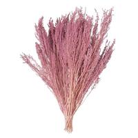 Vickerman 14"-18" Coral Stoebe Bundle