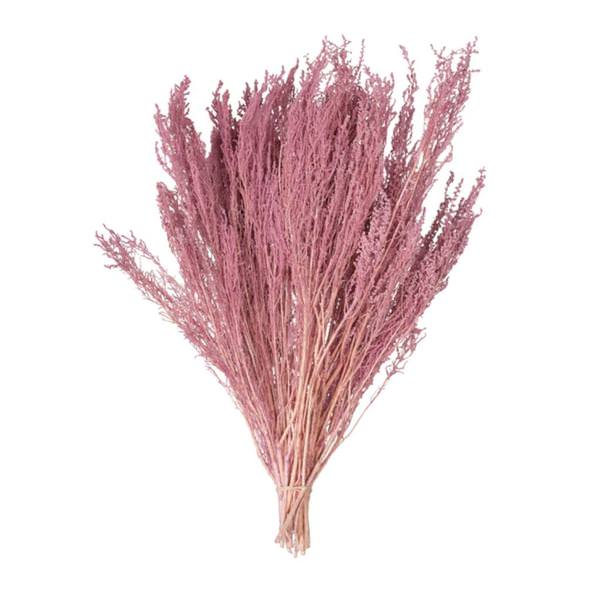 14"-18" Coral Stoebe Bundle (2 Pack)