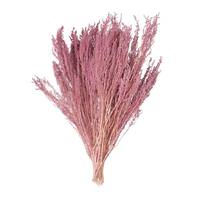 Vickerman 14"-18" Coral Stoebe Bundle (2 Pack)