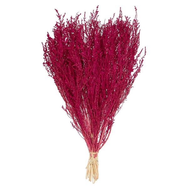 14"-18" Raspberry Stoebe Bundle
