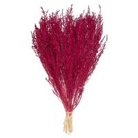 Vickerman 14"-18" Raspberry Stoebe Bundle