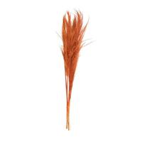 Vickerman 46" Orange Pampas Grass Bundle (6 Pack)
