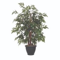 Vickerman 4' Artificial Ming Aralia Bush