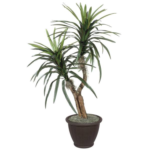 4' Artificial Marginata Bush