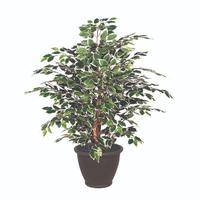 Vickerman 4' Artificial Variegated Ficus Bush