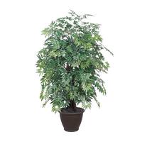 Vickerman 4' Artificial Extra Full Ming Aralia Bush