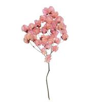 Vickerman 13.5"-17" Pink Cara Blossoms