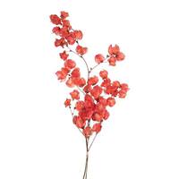 Vickerman 13.5"-17" 60 Blooms Red Cara Blossoms