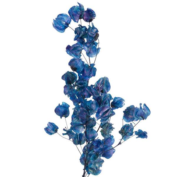 13.5"-17" 60 Blooms Navy Cara Blossoms