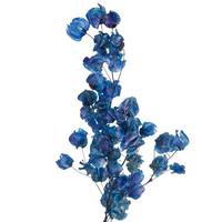 Vickerman 13.5"-17" 60 Blooms Navy Cara Blossoms