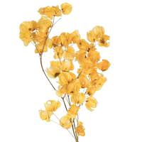 Vickerman 13.5"-17" 60 Blooms Aspen Gold Cara Blossoms