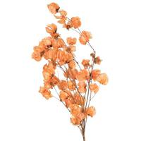 Vickerman 13.5"-17" 60 Blooms Orange Cara Blossoms