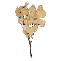 Vickerman 13.5-17" Bleached Moneta Leaf on Twig