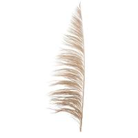 Vickerman 60-72" Natural Uva Palm Spray (10 pack)