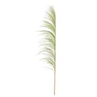 Vickerman 60-72" Basil Uva Palm Spray (10 pack)