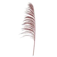 Vickerman 60-72" Red Uva Palm Spray (10 pack)
