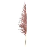 Vickerman 60-72" Dusty Rose Uva Palm Spray (10 pack)