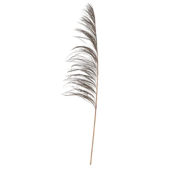 60-72" Mocha Uva Palm Spray (10 pack)
