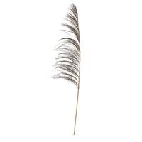 Vickerman 60-72" Mocha Uva Palm Spray (10 pack)