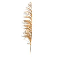 Vickerman 60-72" Aspen Gold Uva Palm Spray (10 pack)