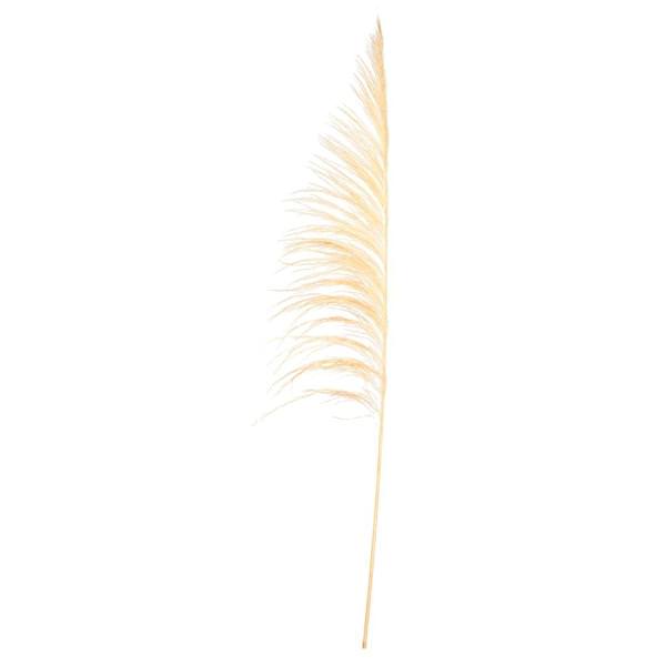 60-72" Bleached Uva Palm Spray (10 pack)