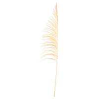 Vickerman 60-72" Bleached Uva Palm Spray (10 pack)