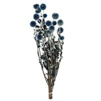 Vickerman 21"-24" Dark Blue Echinops (4oz Bundle)