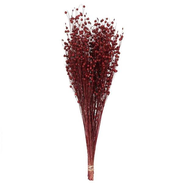 20"-22" 4oz Preserved Red Dried Flax Linum