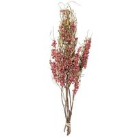 Vickerman 17"-20" Natural Pink Pepper Berry (4oz Bundle)