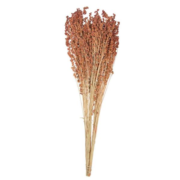 21"-23" 6oz Preserved Nat Brown Dried Broom Corn