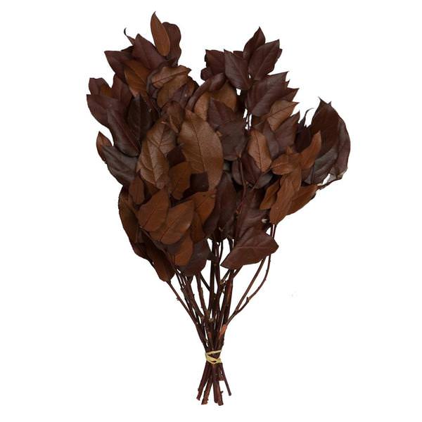 16"-22" Copper Salal Bundle (6oz Bunch)