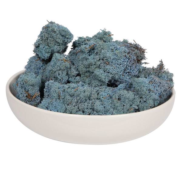 2Lbs Light Blue Moss Dried and Preserved Natural Botanicals