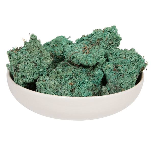 2Lbs Teal Dried and Preserved Natural Botanicals