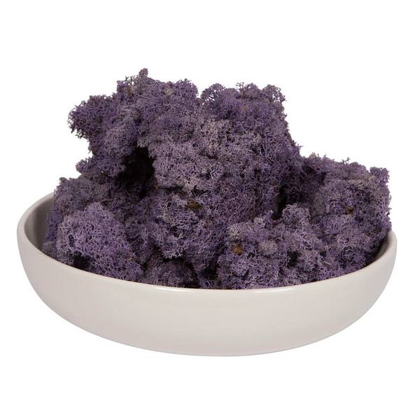 2Lbs Violet Moss Dried and Preserved Natural Botanicals