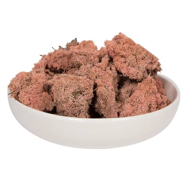 2Lbs Coral Dried and Preserved Natural Botanicals