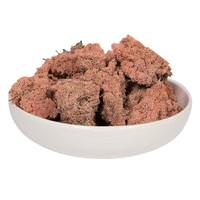 Vickerman 2Lbs Coral Dried and Preserved Natural Botanicals