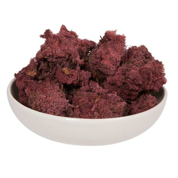 2Lbs Burgundy Dried and Preserved Natural Botanicals